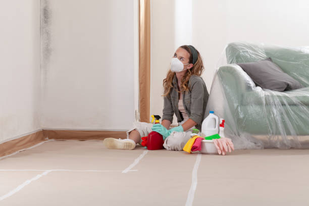 Reliable Mold Remediation contractor in Georgia, GA by WQB Mold Removal